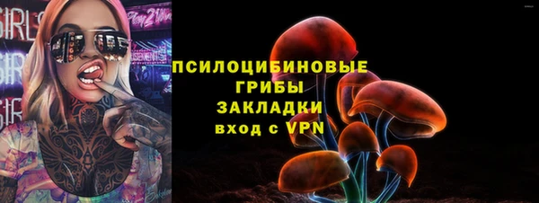 дживик Заводоуковск