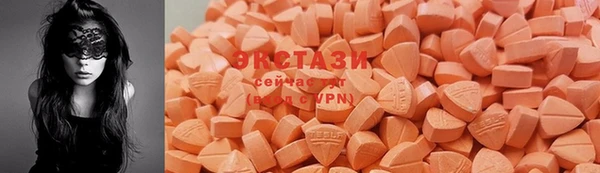 прущие грибы Заволжск