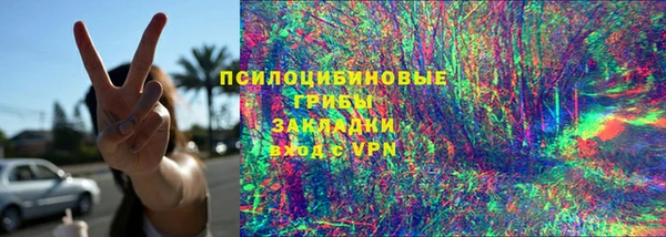 прущие грибы Заволжск