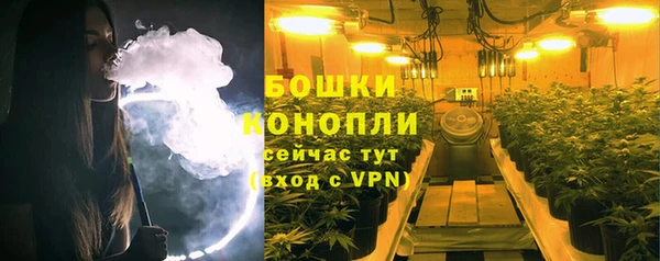 прущие грибы Заволжск