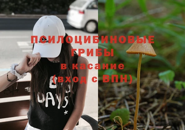 дживик Заводоуковск