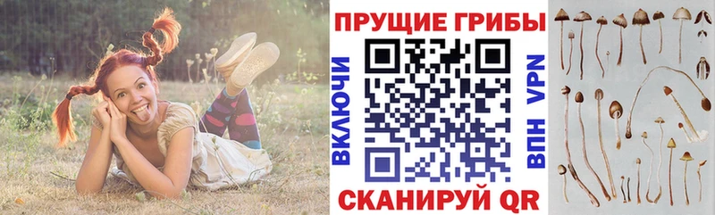 Псилоцибиновые грибы Magic Shrooms  Купить  Шали 